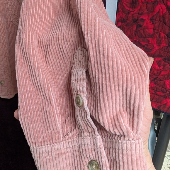 American Eagle Outfitters Pink Boxy Crop Button Down Shirt - Picture 4 of 4